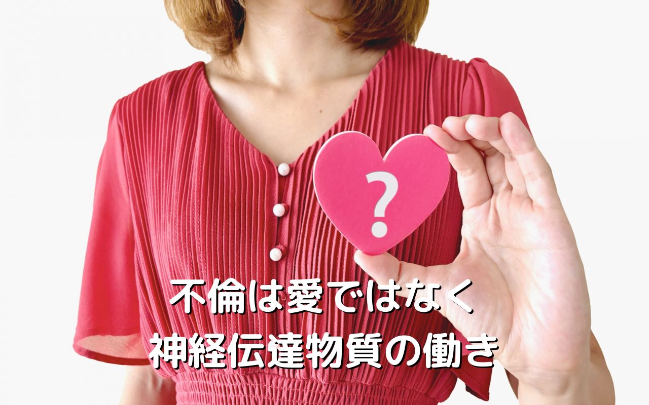 不倫は愛ではなく神経伝達物質の働き